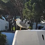 P209 Situé Au Sein De Balaia Golf Village * Albufeira