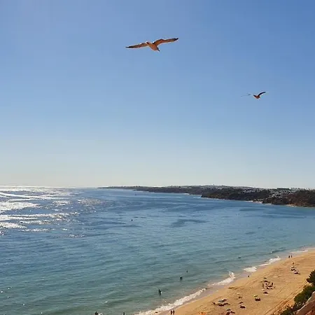 P209 Situe Au Sein De Balaia Golf Village 阿尔布费拉