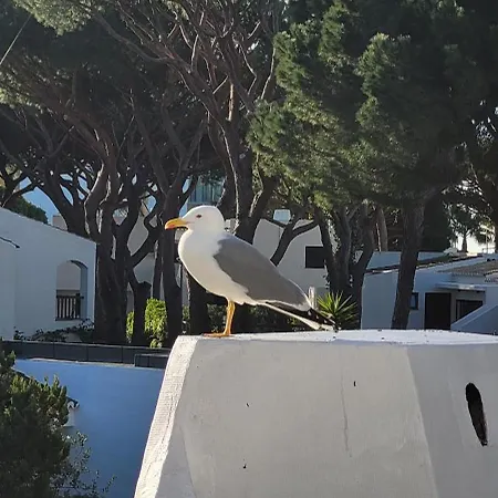 P209 Situe Au Sein De Balaia Golf Village * 阿尔布费拉