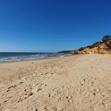 P209 Situe Au Sein De Balaia Golf Village Lägenhet Albufeira